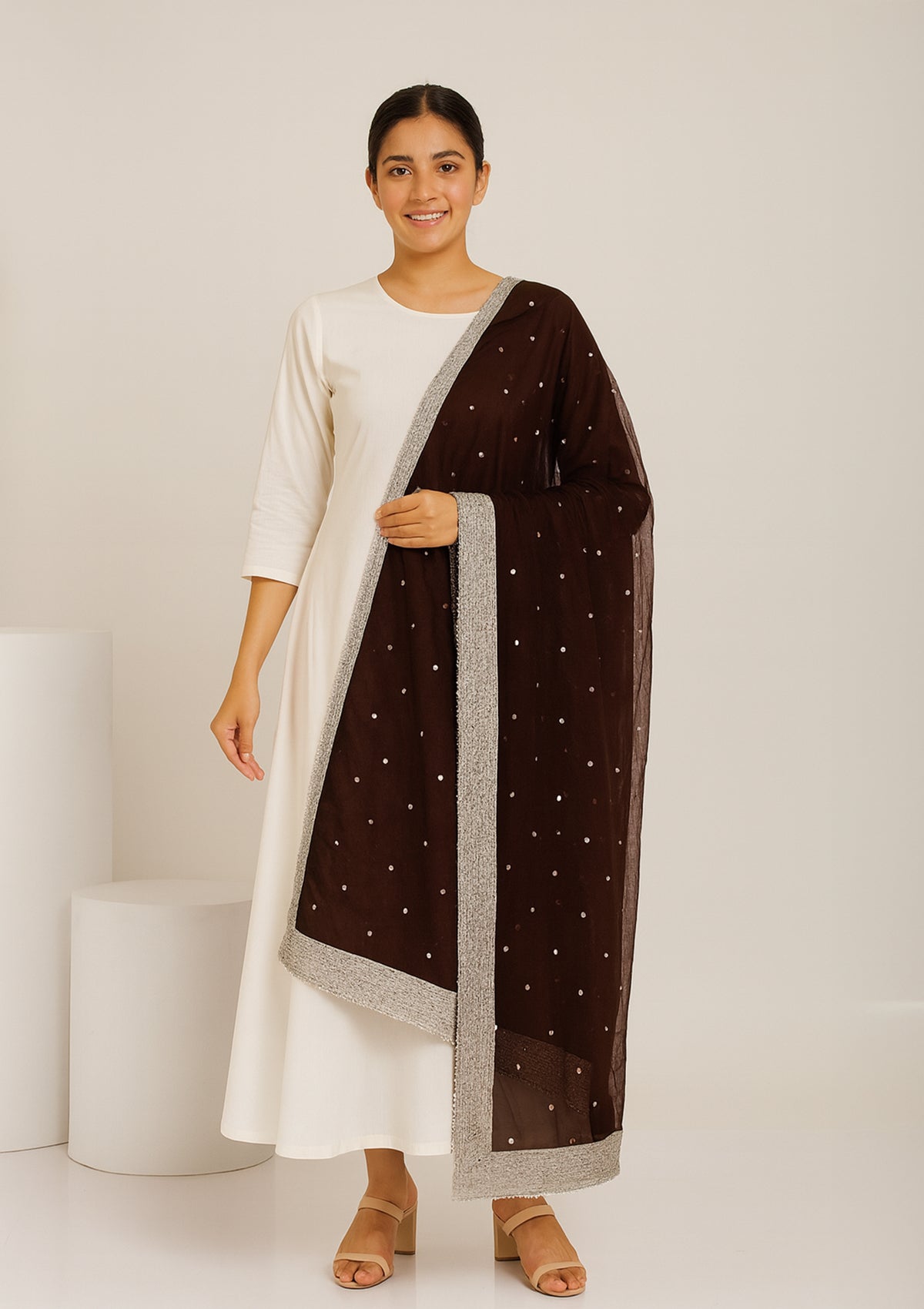 Brown Net Dupatta with Silver Sequin Work and Heavy Embroidered Border